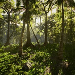 Low Poly Rainforest Pack